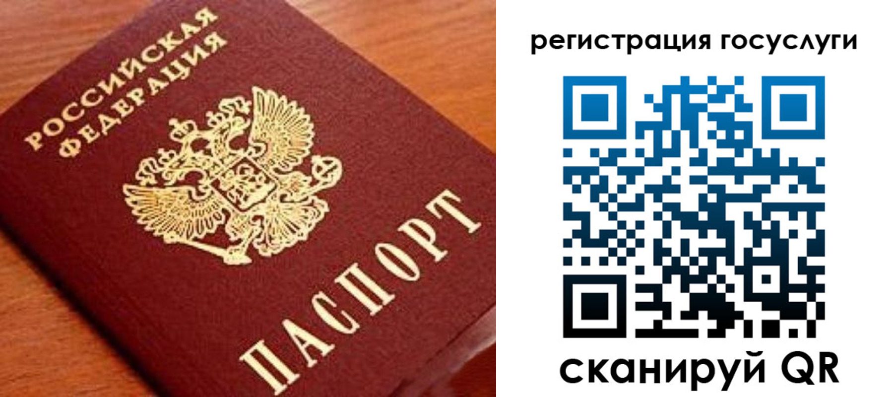 прописка иностранных граждан в Цимлянске